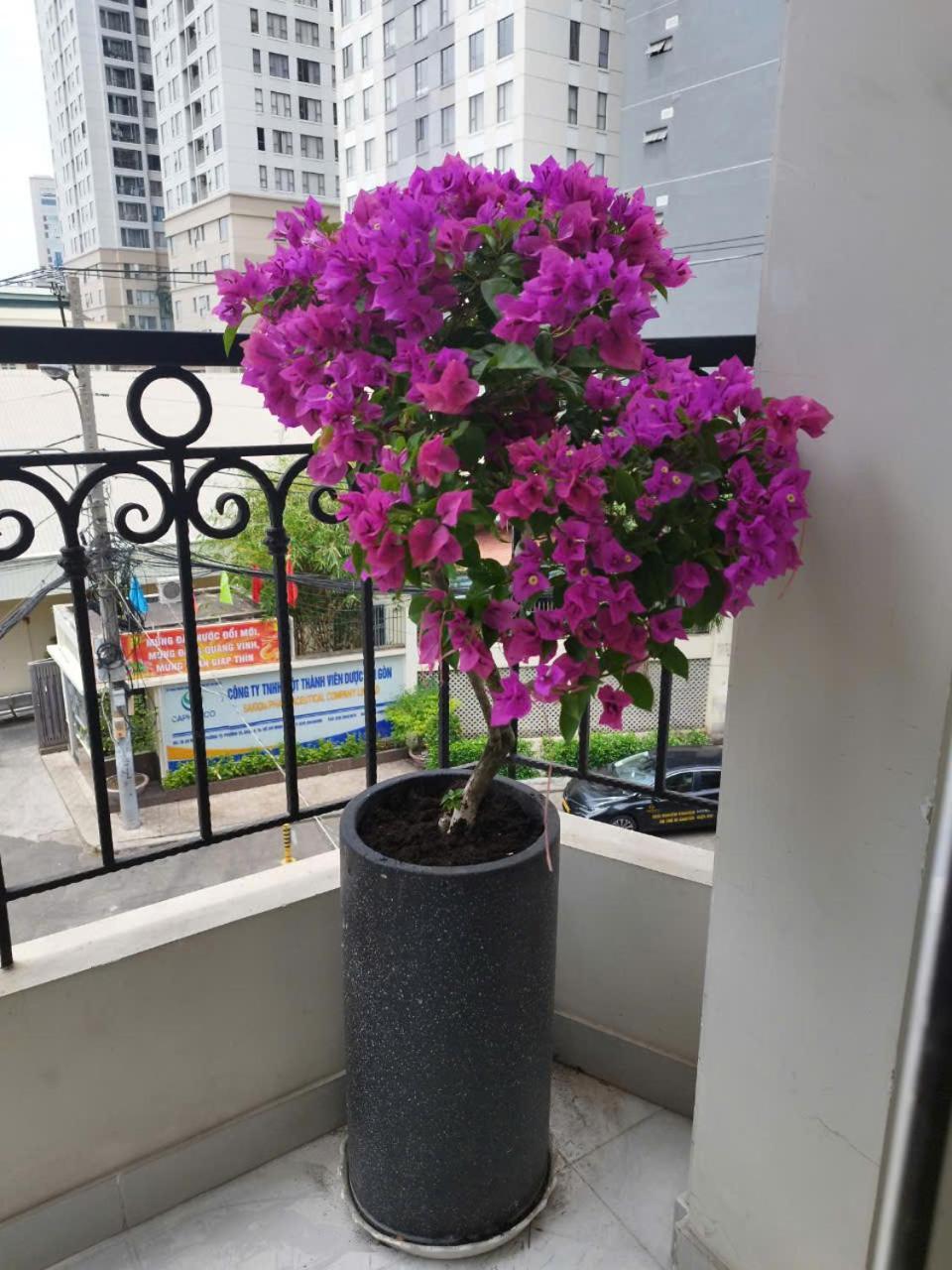 7 Apartment Ciudad Ho Chi Minh  Exterior foto