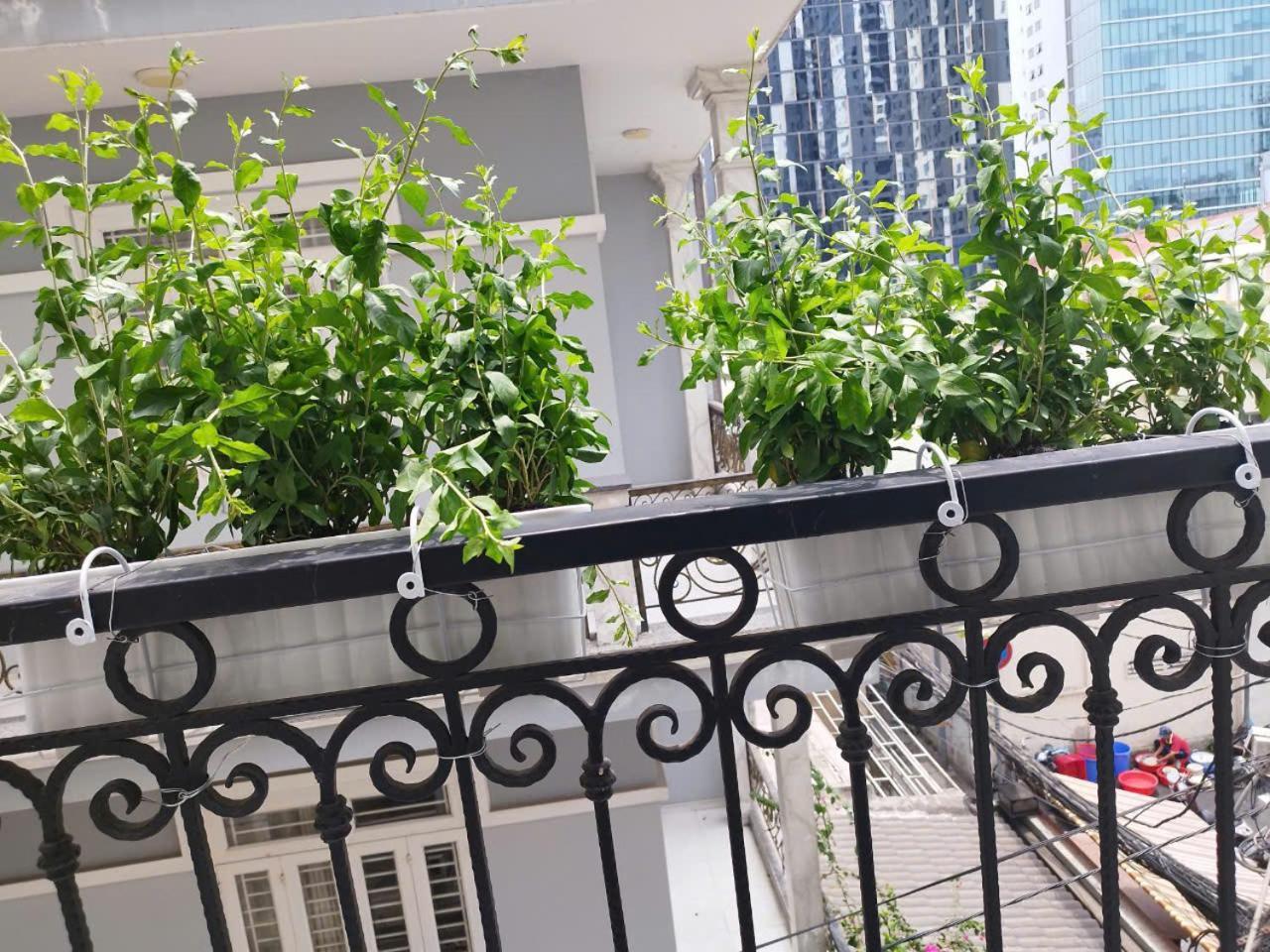 7 Apartment Ciudad Ho Chi Minh  Exterior foto